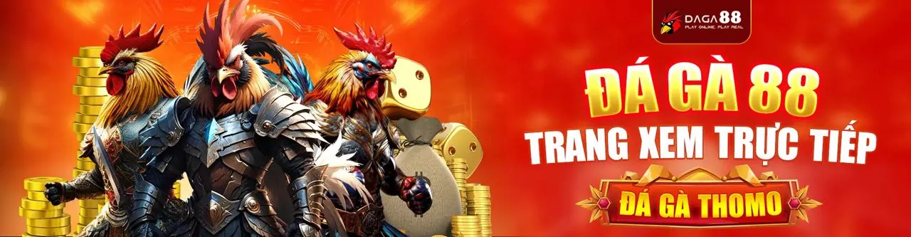 Trực tiếp Đá Gà C1 Thomo, Đăng nhập an toàn