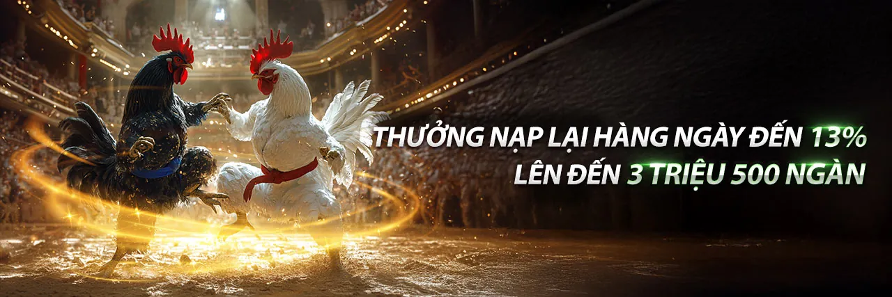 Trực tiếp đá gà C1 Thomo hôm nay